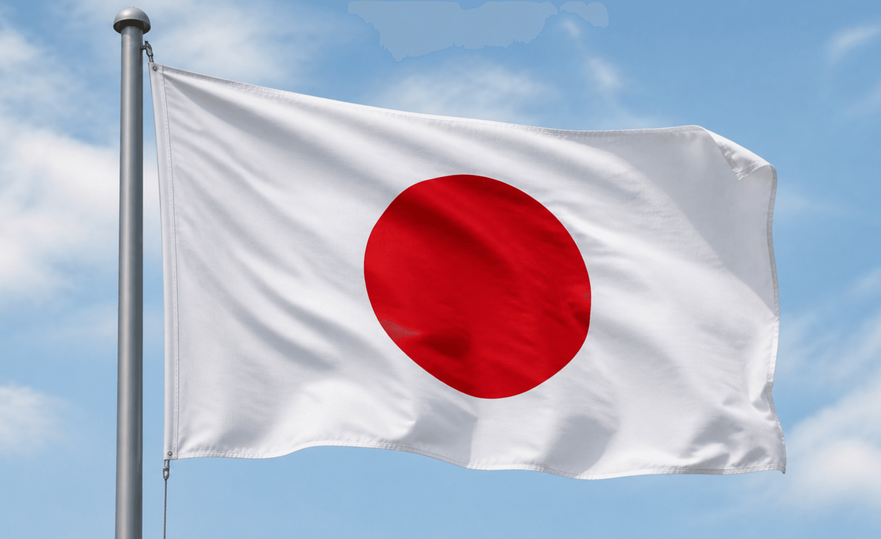 Japan verpflichtet Grossverlader zu einem Logistikchef: Ein Modell auch für Europa?