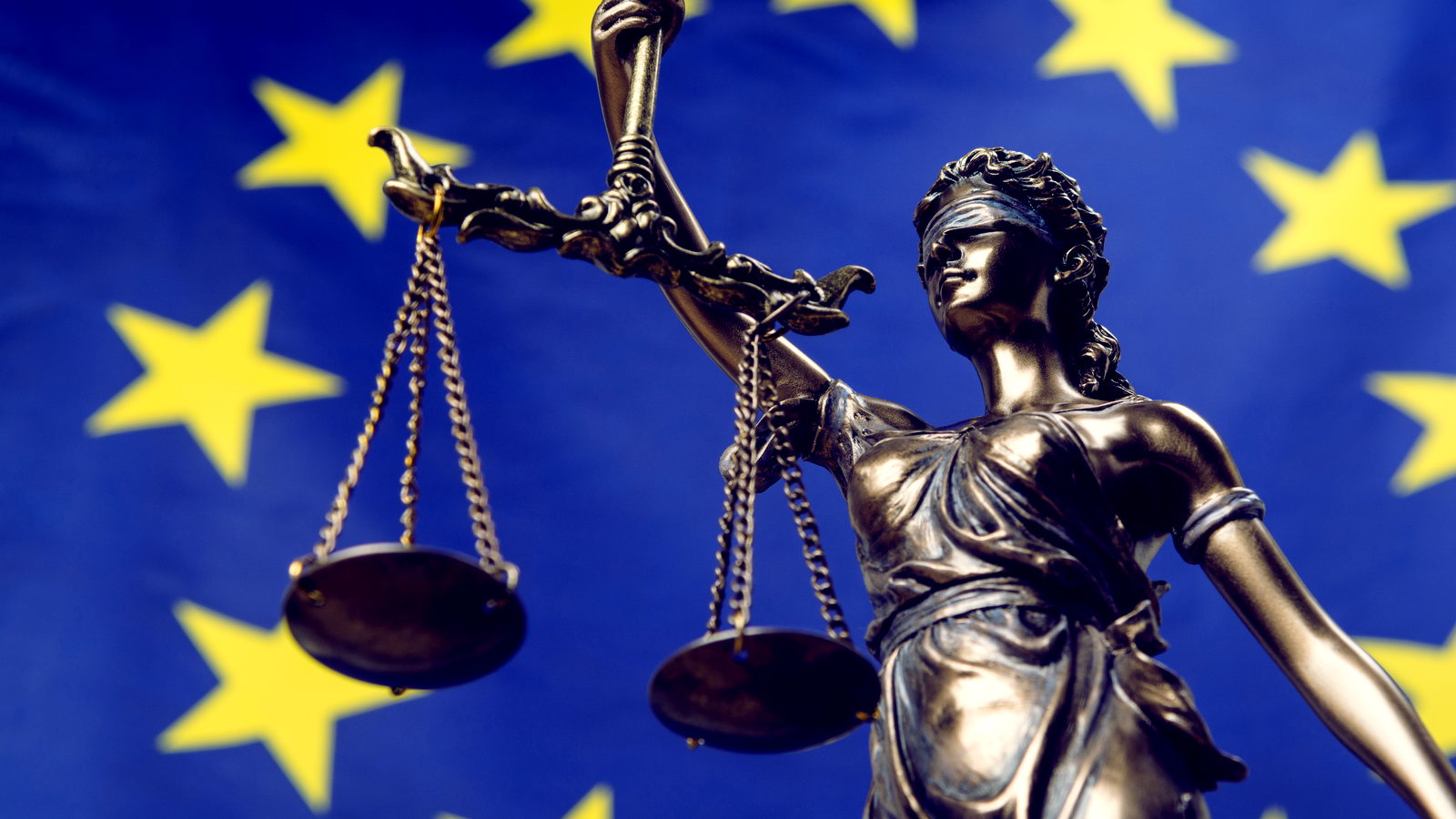 EUDR (Entwaldungsverordnung): Für viele Lieferketten wird es Ende Dezember ernst